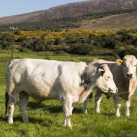 Fort Farmhouse B&B Bed & Breakfast Castlegregory